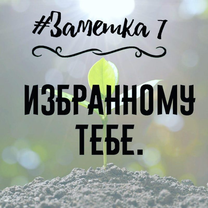 где найти поддержку