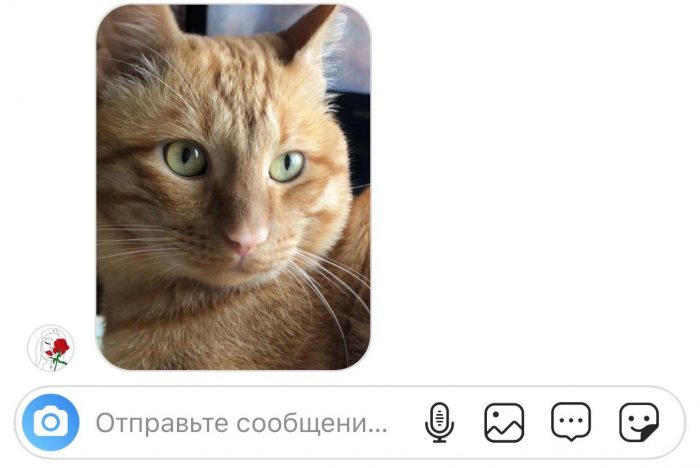 как понять что сделали скриншот в инстаграме в директ. kak bespalevno sdelat skrinshot foto iz direkta v instagrame 2. как понять что сделали скриншот в инстаграме в директ фото. как понять что сделали скриншот в инстаграме в директ-kak bespalevno sdelat skrinshot foto iz direkta v instagrame 2. картинка как понять что сделали скриншот в инстаграме в директ. картинка kak bespalevno sdelat skrinshot foto iz direkta v instagrame 2.