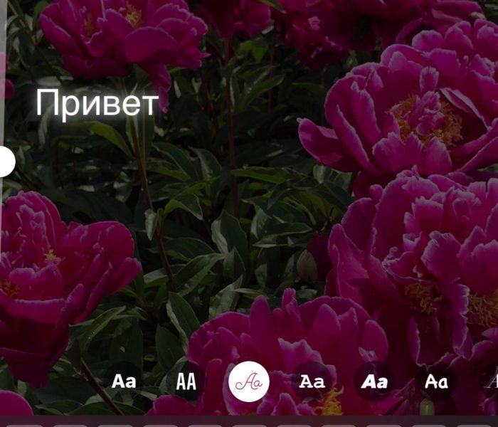 Как сделать движущийся текст в инстаграме. Смотреть фото Как сделать движущийся текст в инстаграме. Смотреть картинку Как сделать движущийся текст в инстаграме. Картинка про Как сделать движущийся текст в инстаграме. Фото Как сделать движущийся текст в инстаграме