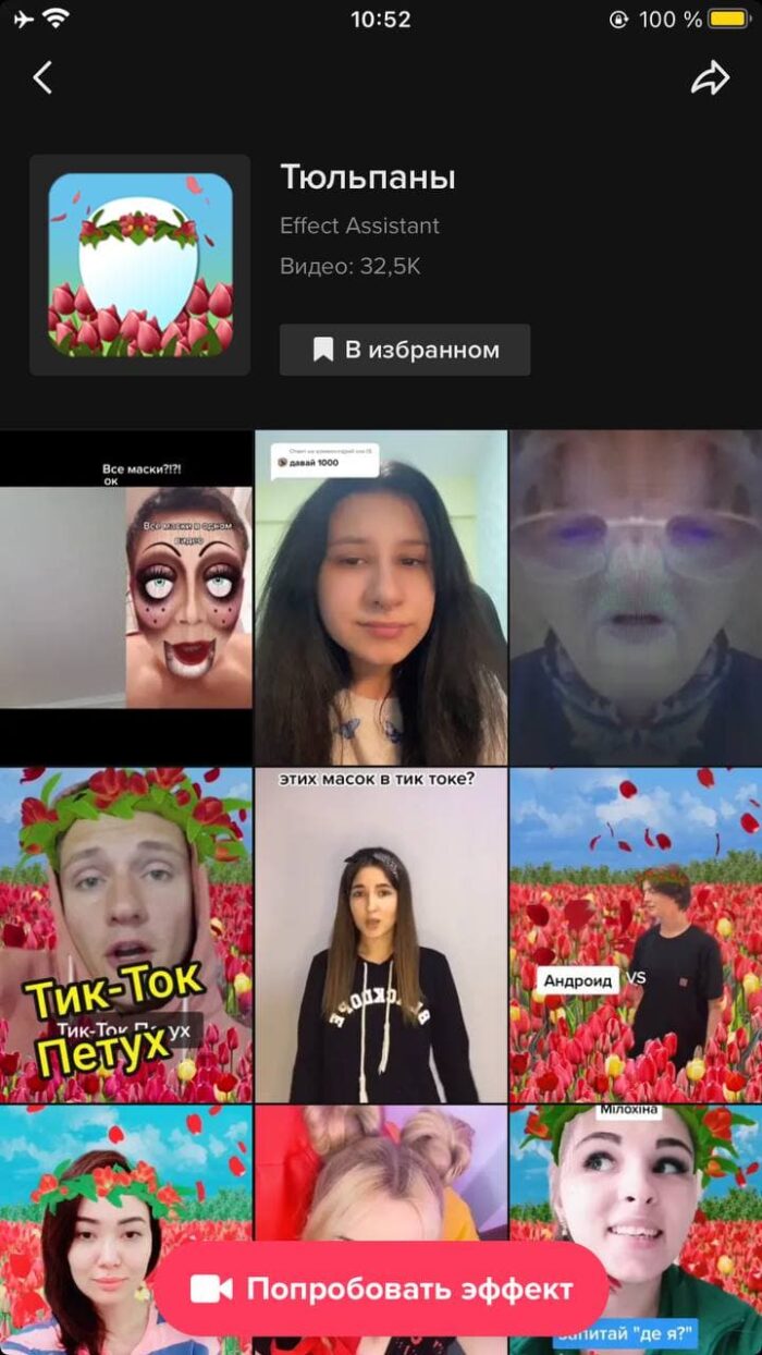 Маска Тюльпаны в ТикТоке