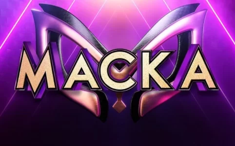 Какие были маски в 1 сезоне шоу Маска на НТВ? Какие же были герои в том году? Давайте вместе разберемся с этим вопросом.